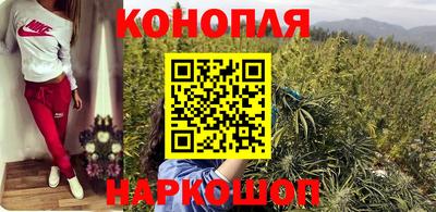 сатива Бузулук