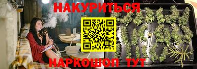 сатива Бузулук