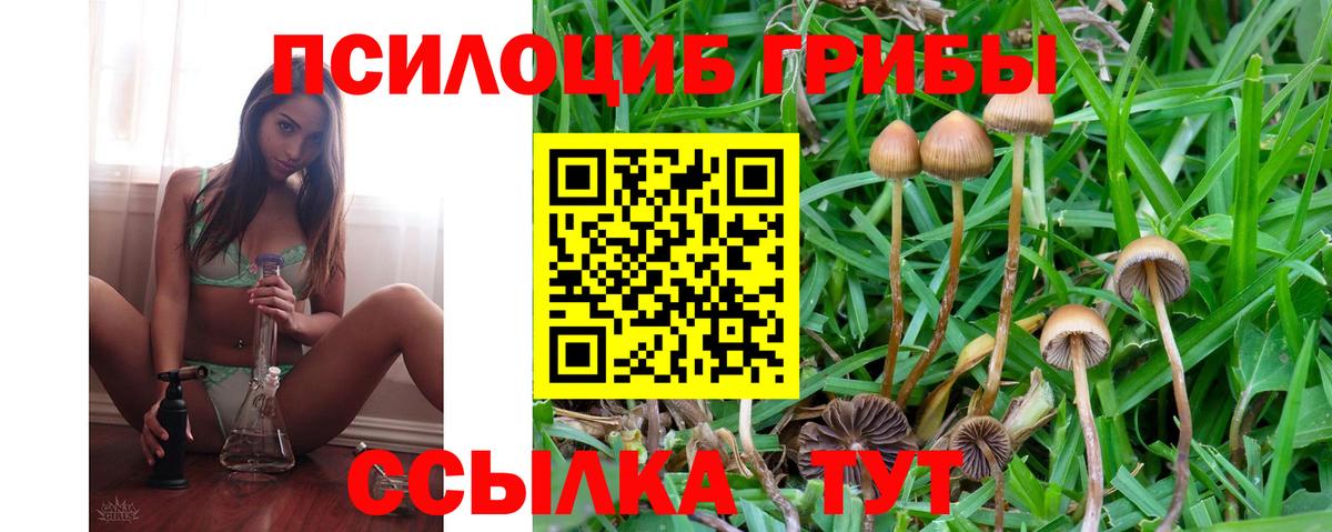 Галлюциногенные грибы Cubensis  Вход с VPN  Галлюциногенные грибы Magic Shrooms  Похвистнево 
